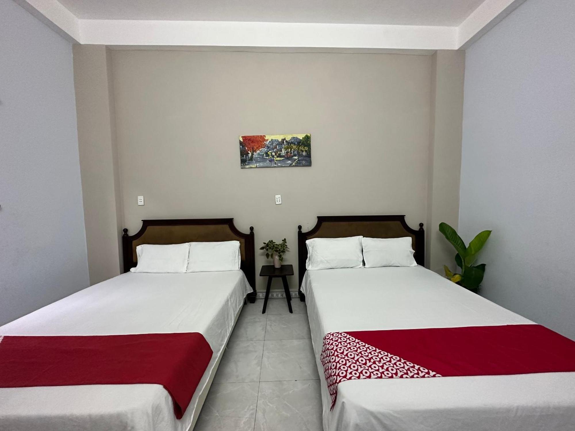 Oyo 1187 Suoi Da Motel ดานัง ภายนอก รูปภาพ